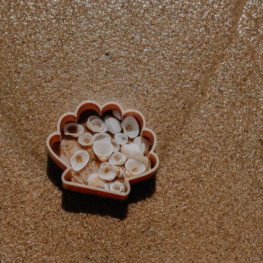 Eco Cutter™ Sea Shell Mould