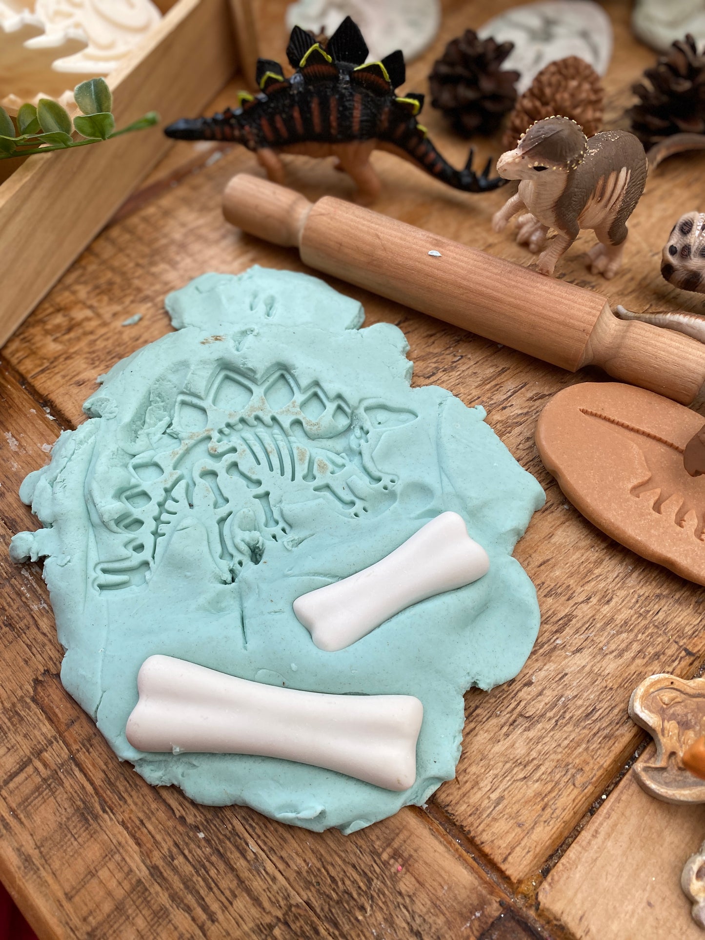 Dinosaur Bones Match and Measure Set