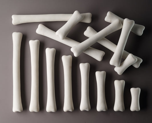 Dinosaur Bones Match and Measure Set