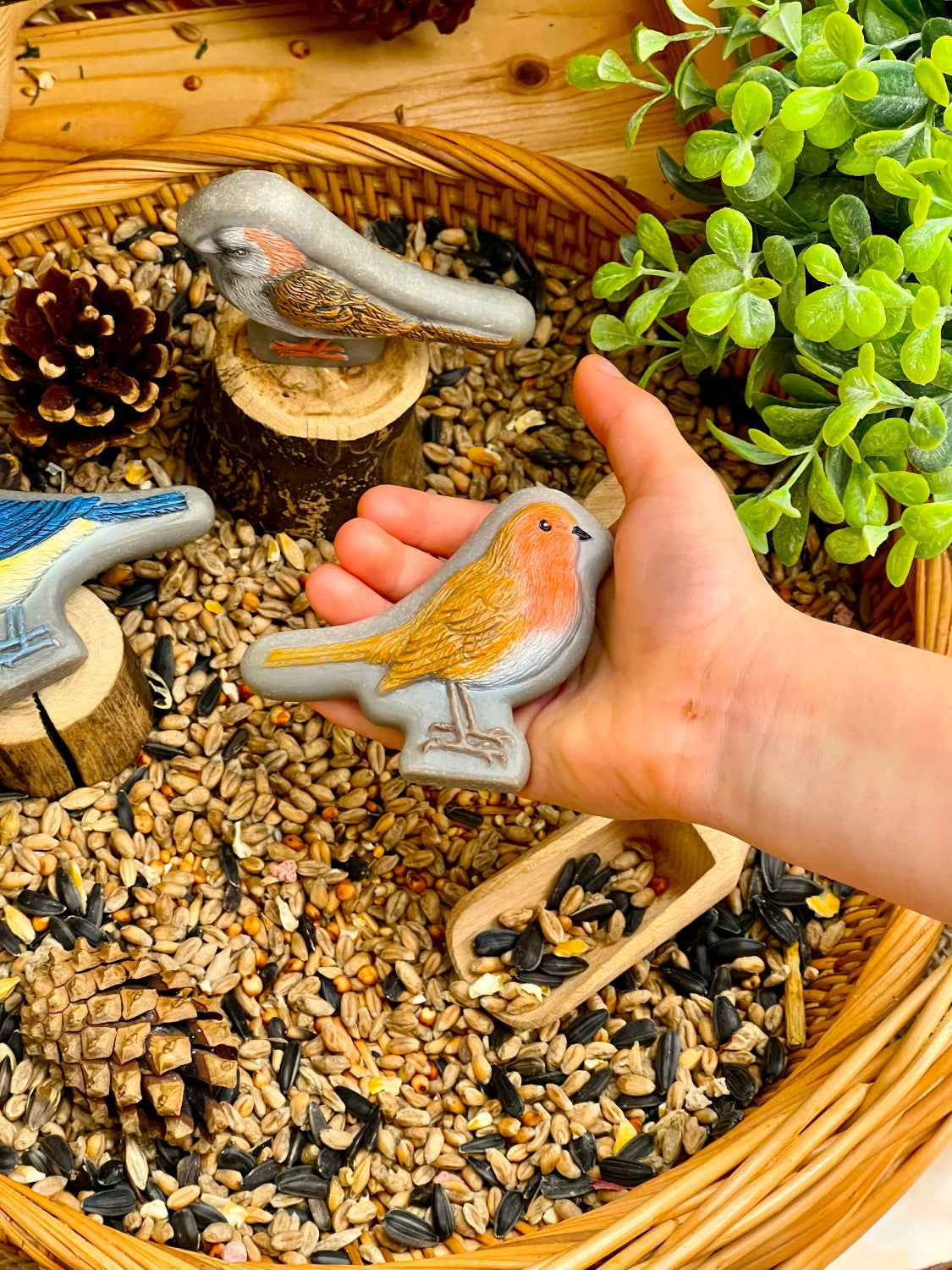 Birds – Sensory Play Stones