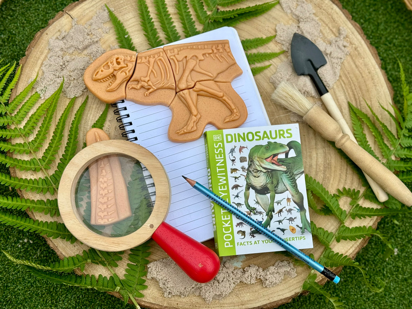 Dig and Discover – Ankylosaurus & Tyrannosaurus Rex