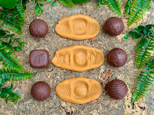 Roll Around – Wild Animals