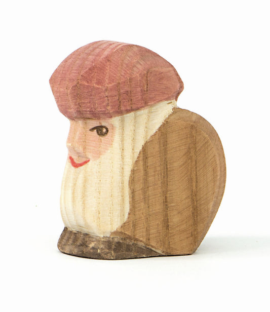 Ostheimer Fir Tree Dwarf sitting