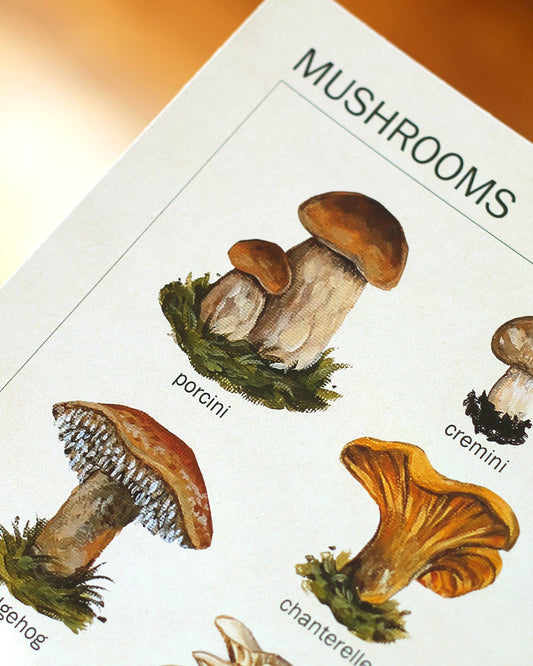 Mushroom Art Print | 8x10''