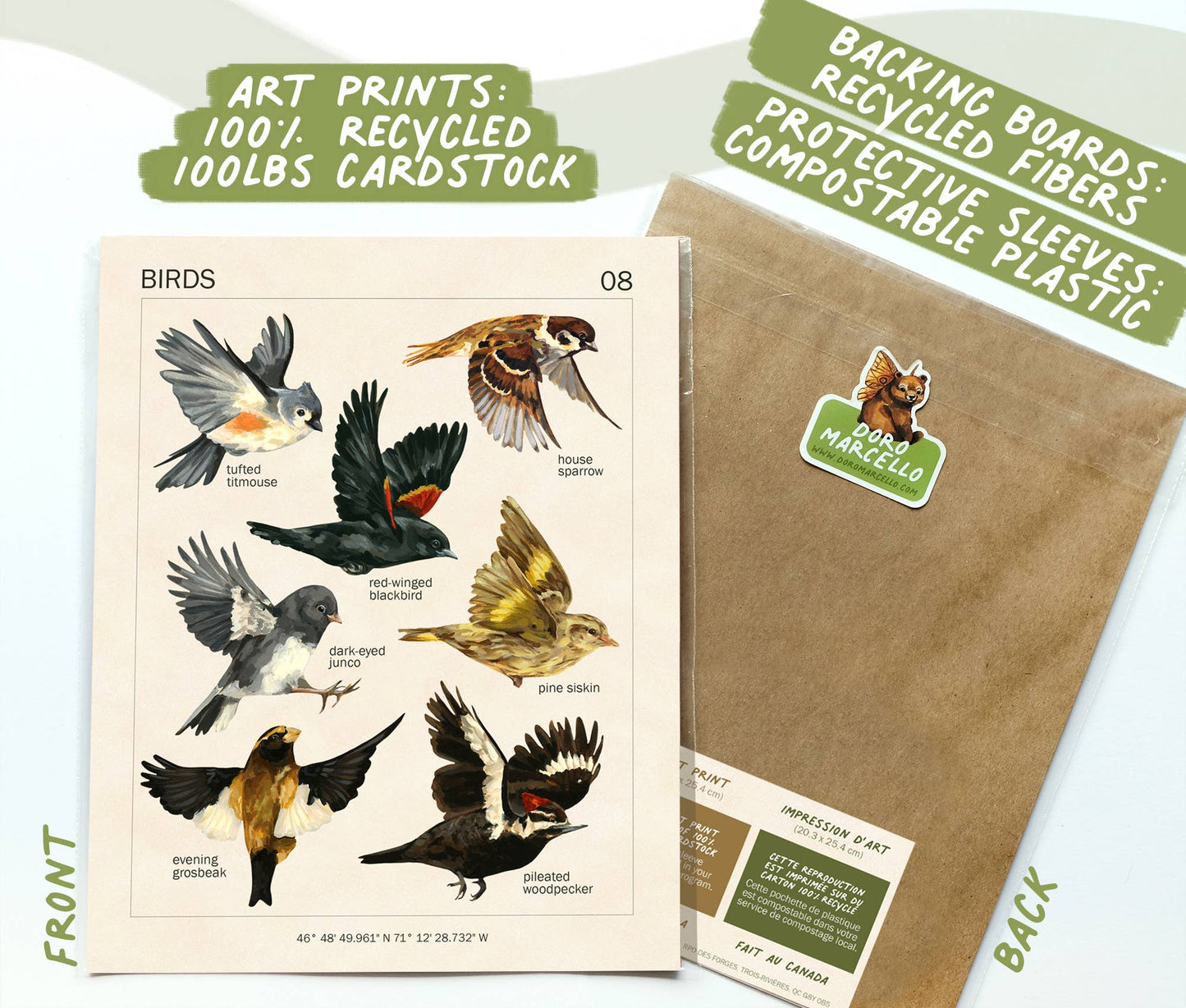 Canadian Birds Art Print | 8x10''