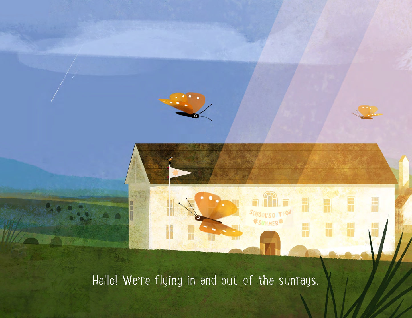 Goodbye Spring, Hello Summer | Hardcover