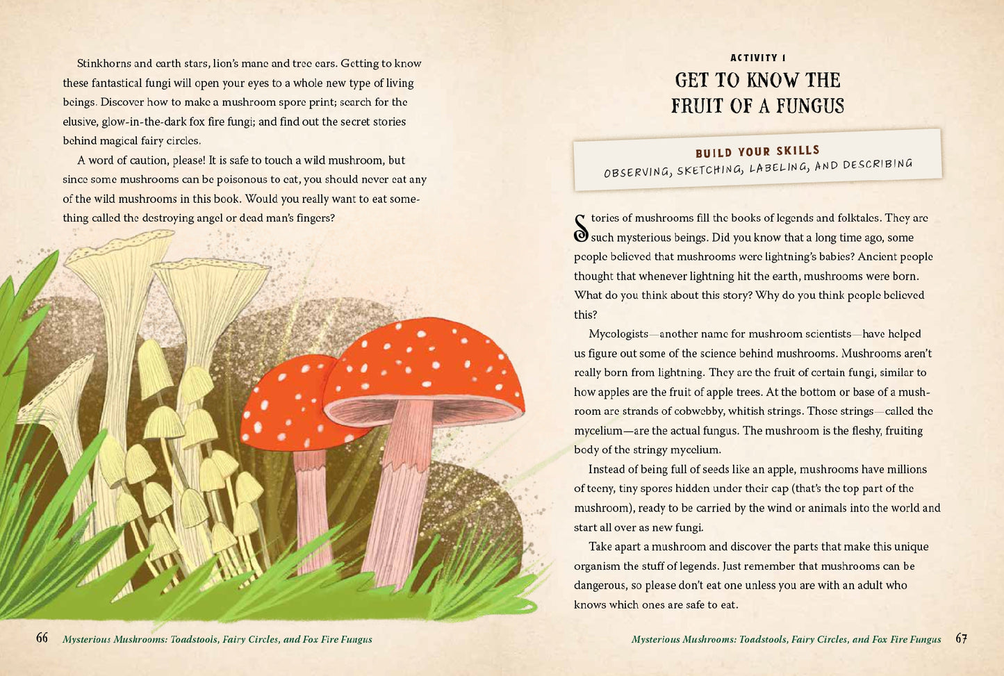 Forest Magic for Kids How to Find Fairies, Make a Secret Fort, and Cook Up an Elfin Picnic | Activity Book