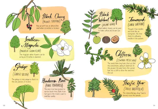 Nature Anatomy The Curious Parts and Pieces of the Natural World | Paperback