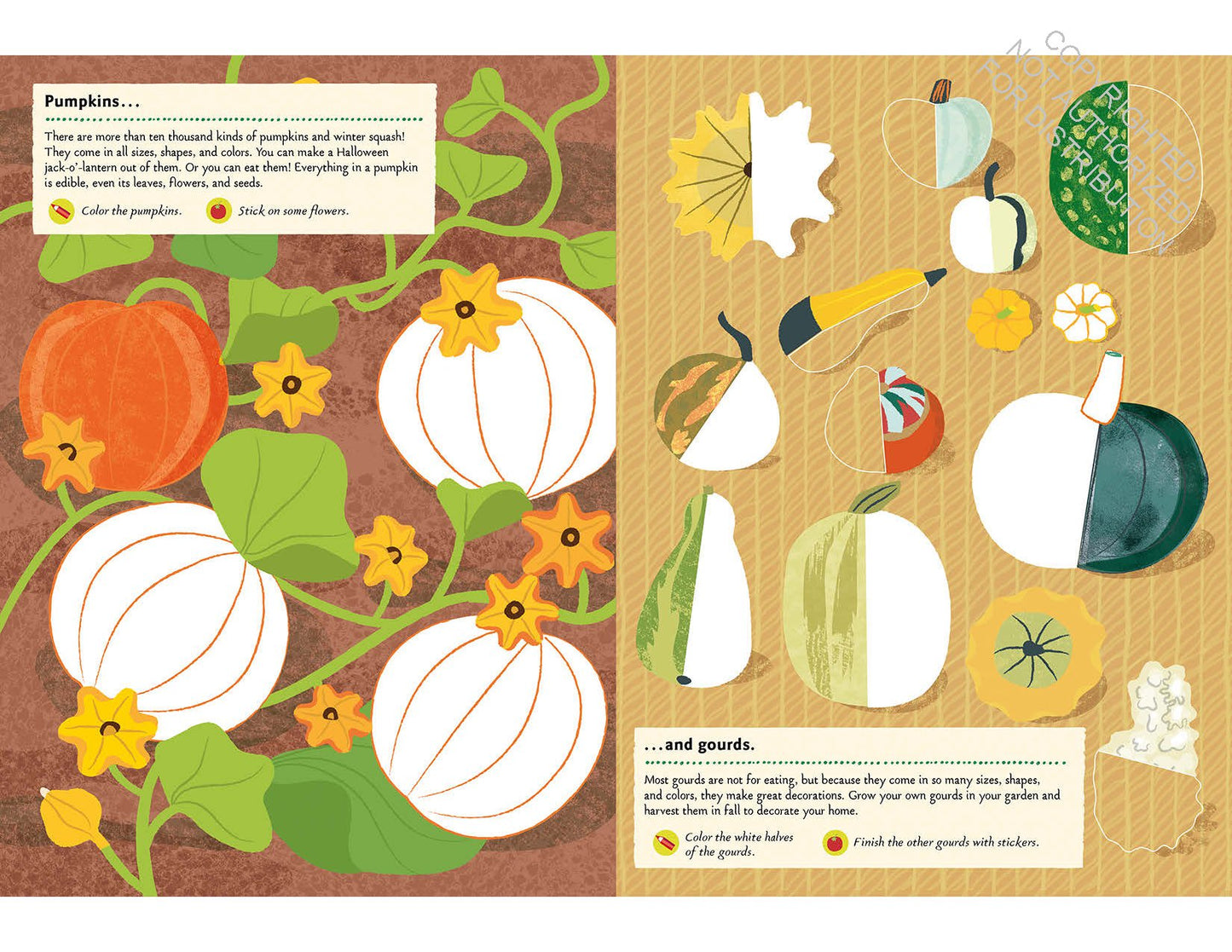 In the Vegetable Garden: My Nature Sticker Activity Book (102 stickers, 24 activities, and 1 quiz) | Activity Book