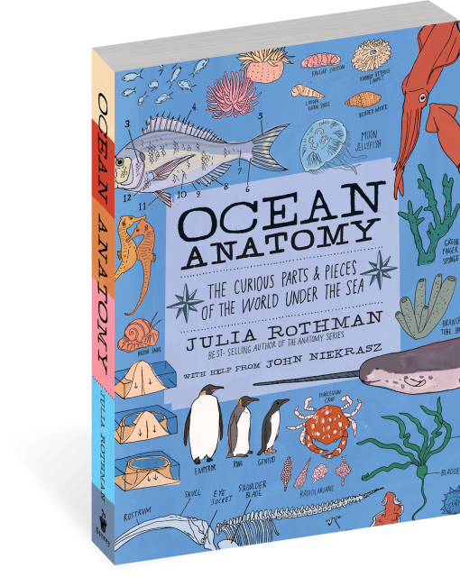 Ocean Anatomy The Curious Parts & Pieces of the World under the Sea | Paperback