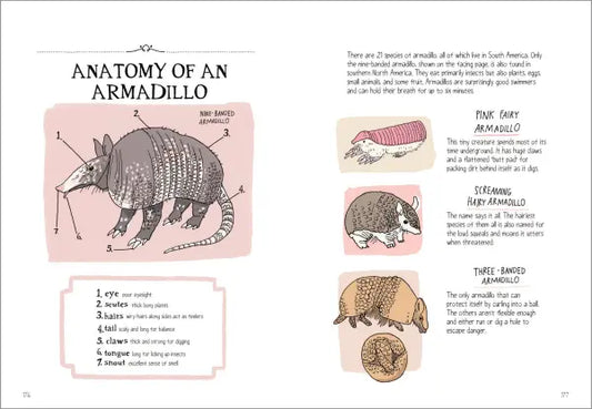 Wildlife Anatomy The Curious Lives & Features of Wild Animals around the World | Paperback