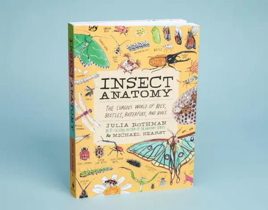 Insect Anatomy The Curious World of Bees, Beetles, Butterflies, and Bugs | Paperback