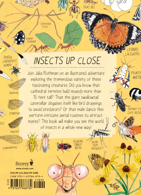 Insect Anatomy The Curious World of Bees, Beetles, Butterflies, and Bugs | Paperback