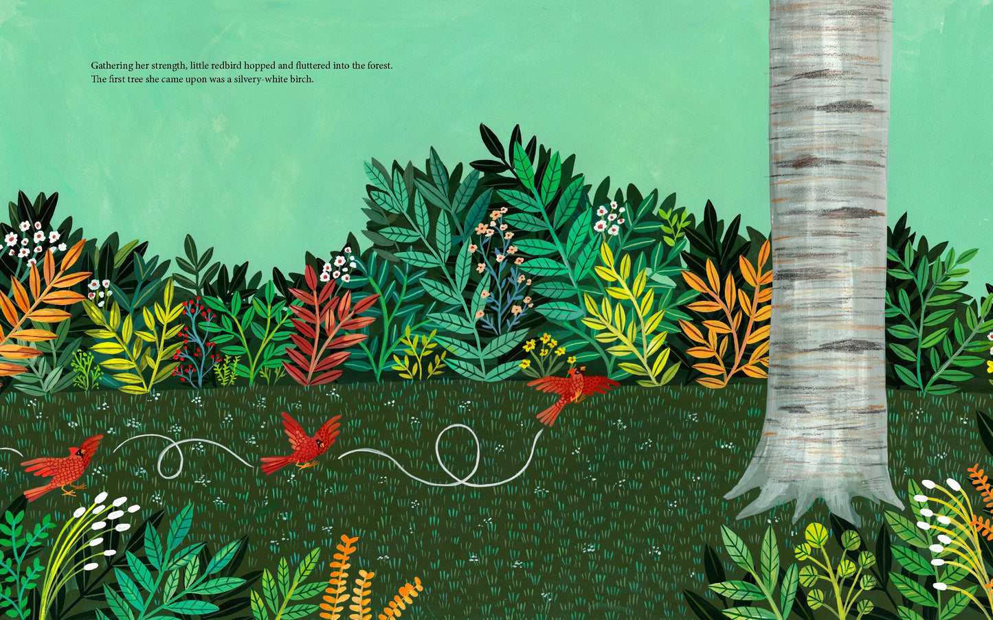 Why Evergreens Keep Their Leaves | Hardcover
