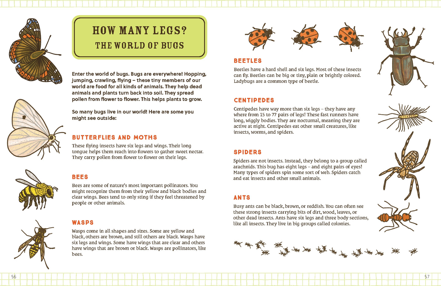 Explorer's Nature Journal | Activity Book