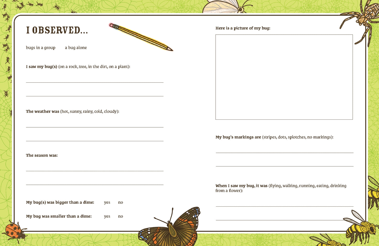Explorer's Nature Journal | Activity Book