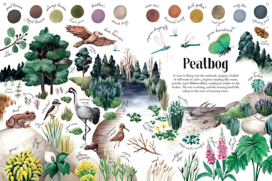 Colors of Habitats | Hardcover