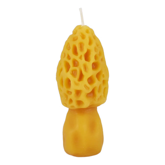 Grand Morel - Natural Beeswax Candle
