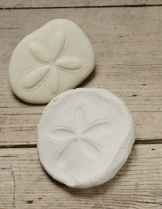 Let’s Investigate Fossils