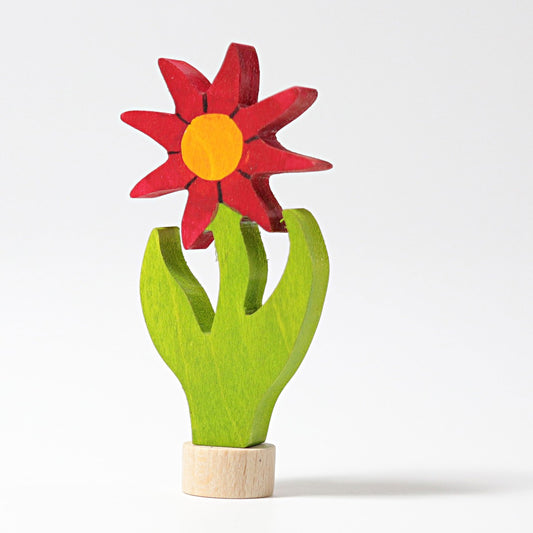 Grimm's Deco Handcoloured Aster