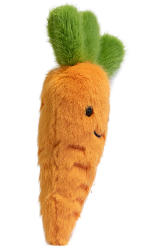 Carrot Garden Friend