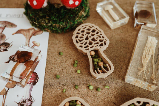 Morel Mushroom Eco Cutter™