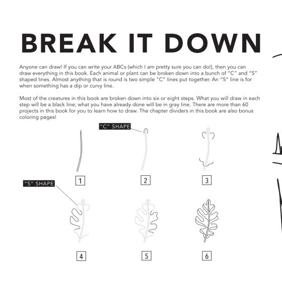 How To Draw Woodland Creatures (For Kids) | Paperback