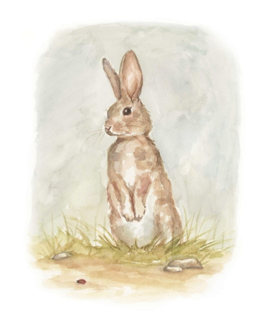 Our Little Adventures | Boardbook Boxed Set