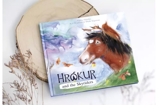 HrΓ³kur and the Skyriders | Hardcover