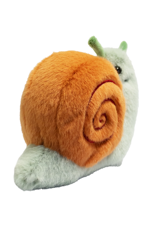 Snail Garden Friend