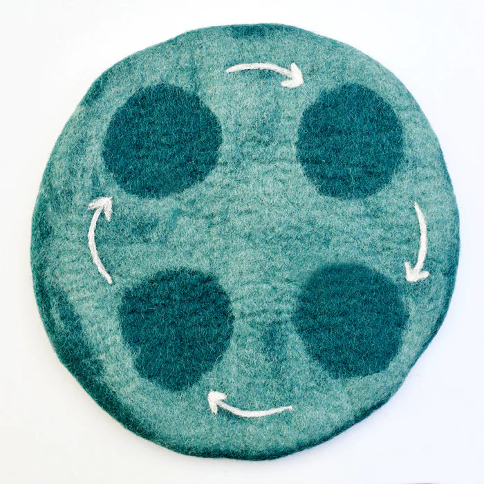 Tara Treasures Felt Life Cycle Tray Playmat (Water)