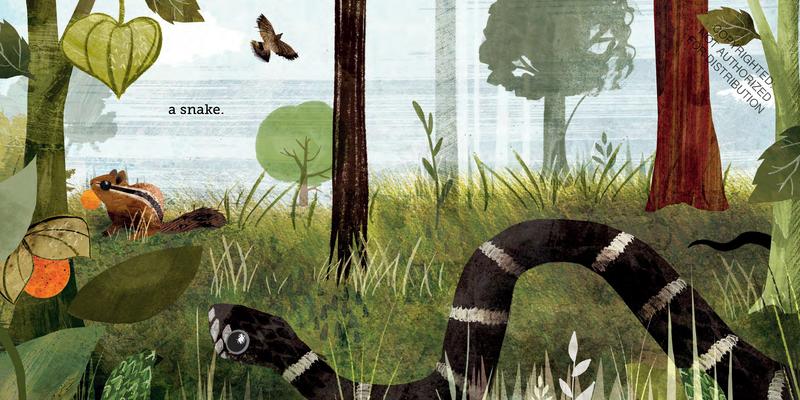 Because of an Acorn | Hardcover