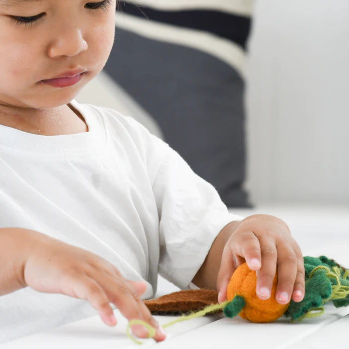 Felt Lifecycle of Pumpkin (playmat sold separately)