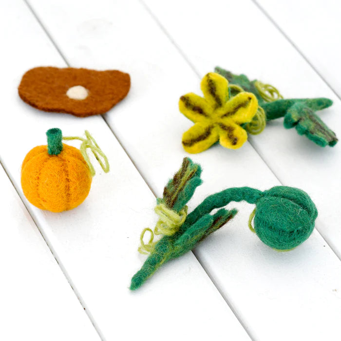 Felt Lifecycle of Pumpkin (playmat sold separately)