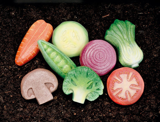 Vegetables – Sensory Play Stones