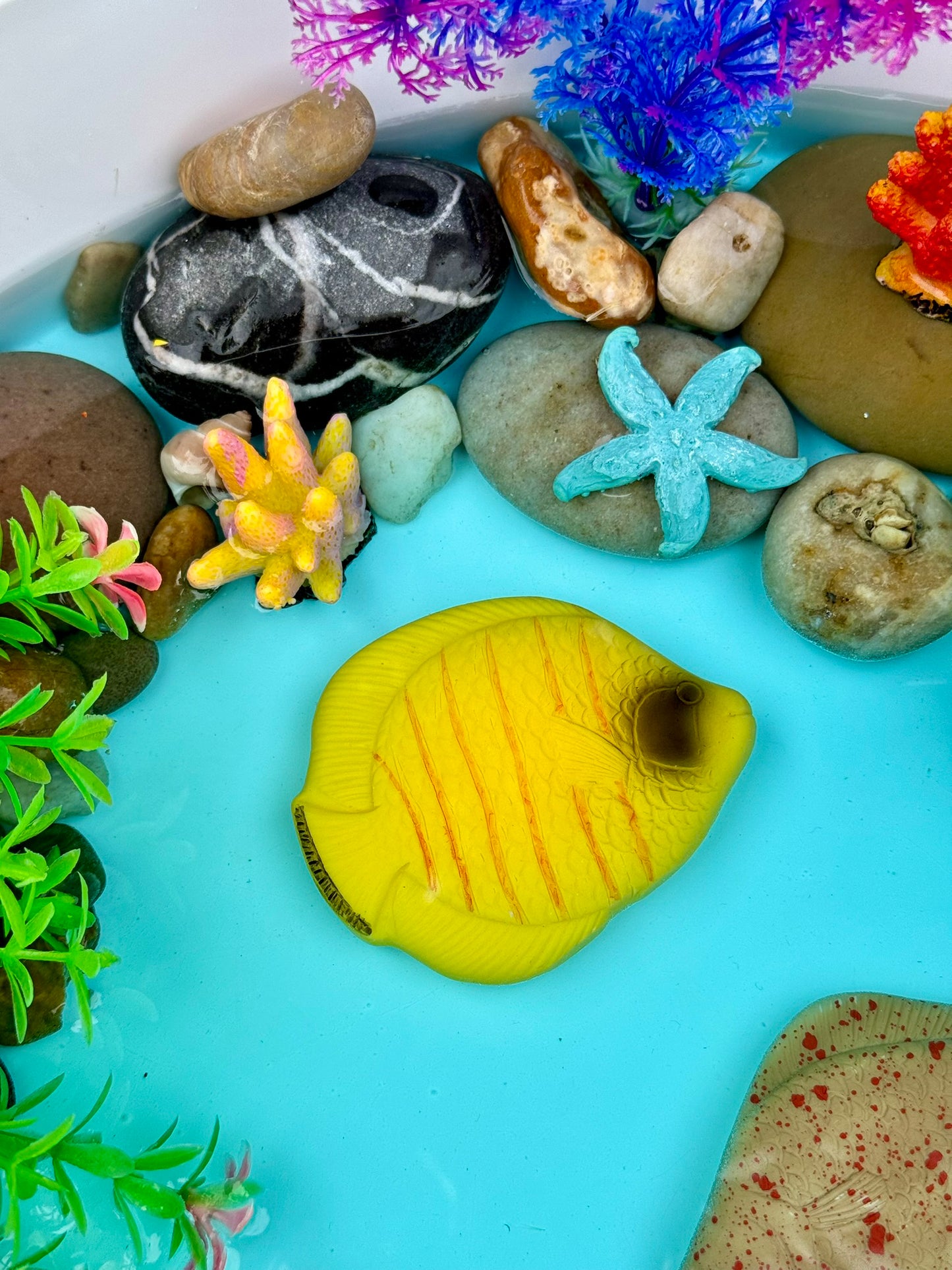 Yellow Door Sensory Play Stones – Fish