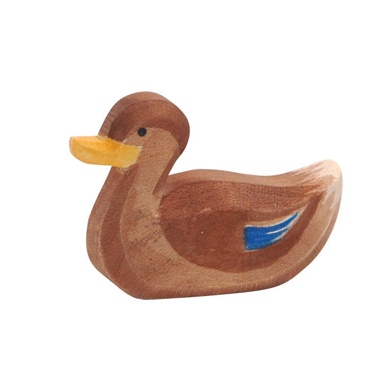 Ostheimer Duck Swimming