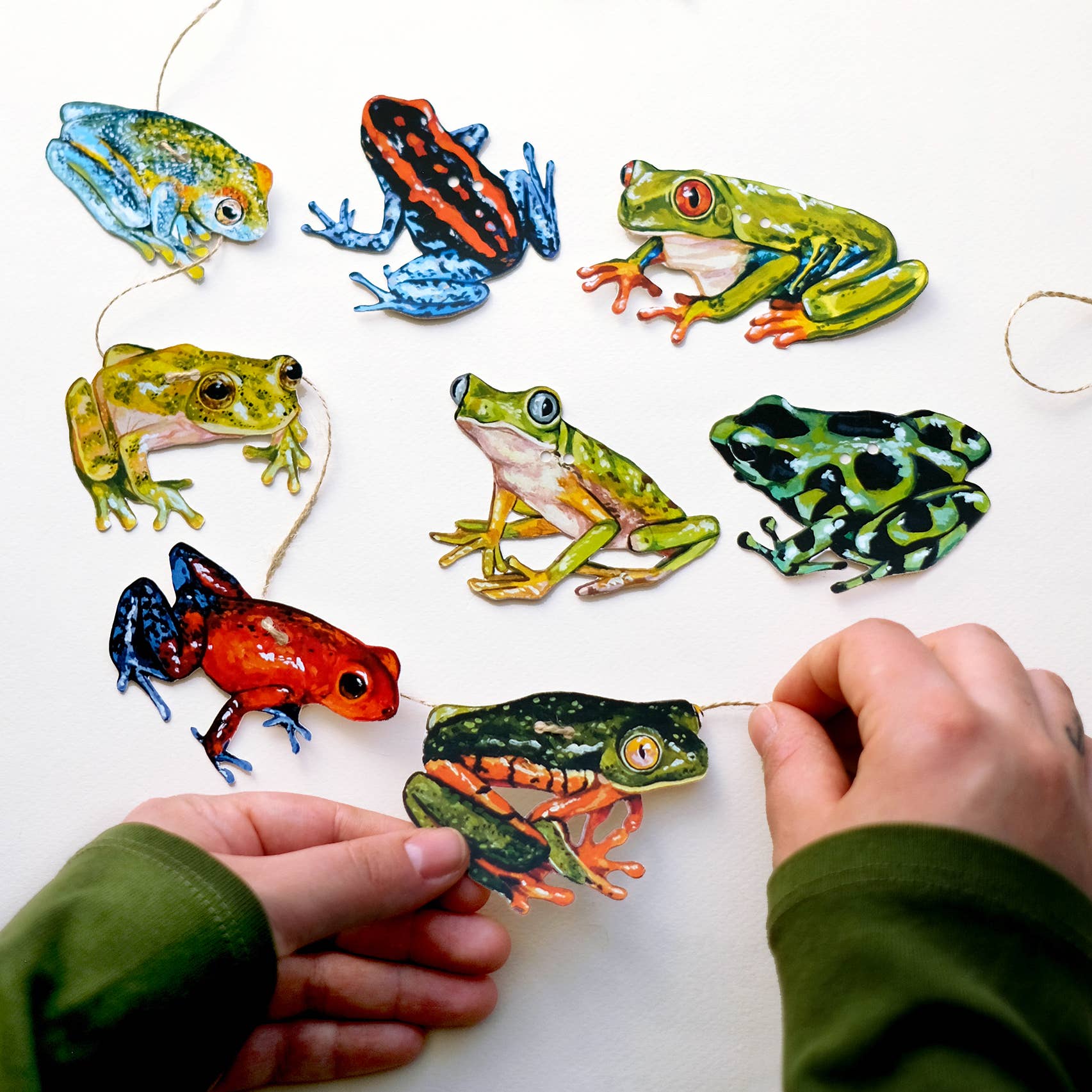 Frog Garland | DIY Paper Garland Kit