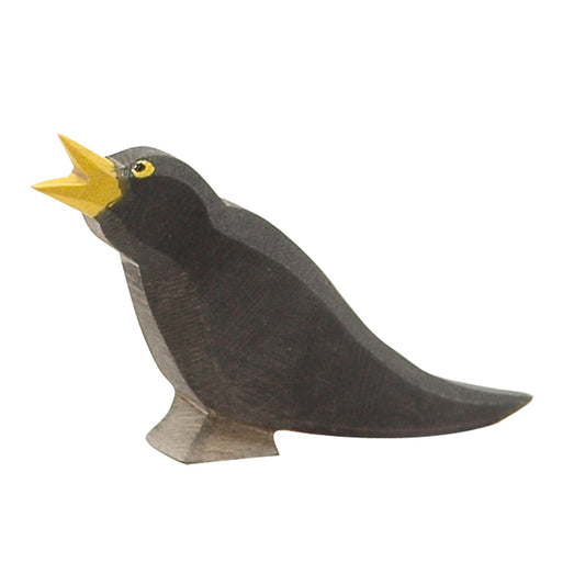 Ostheimer Bird - Blackbird