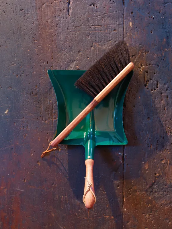 Adult Hand Broom