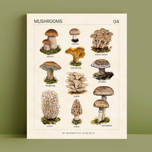 Mushroom Art Print | 8x10''