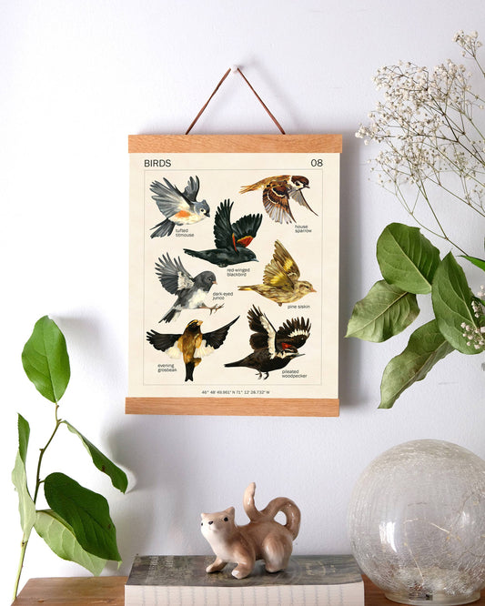 Canadian Birds Art Print | 8x10''