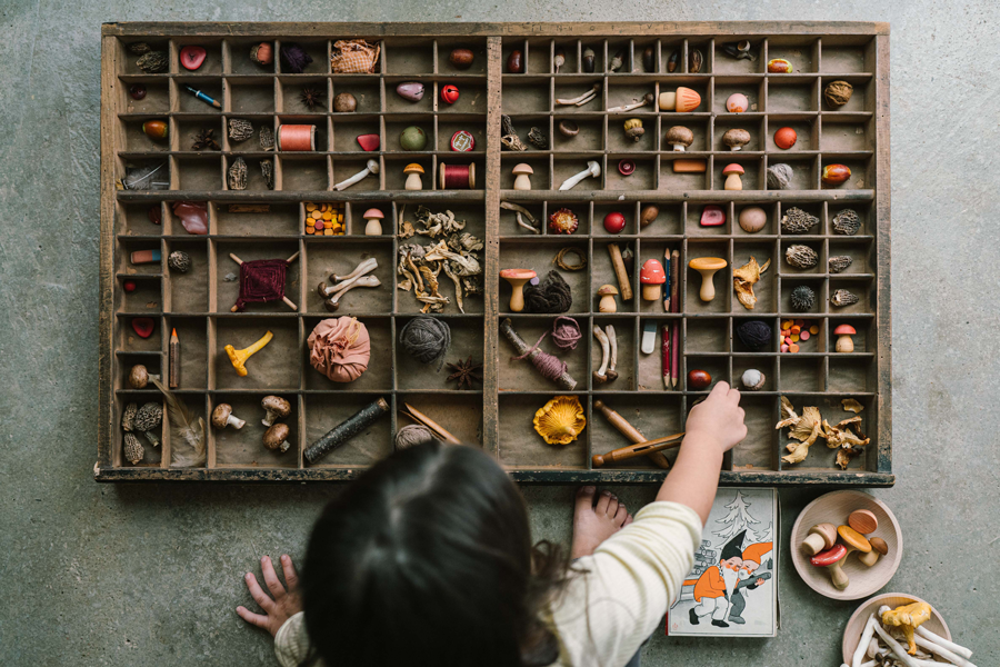 Grapat Mushroom Grove