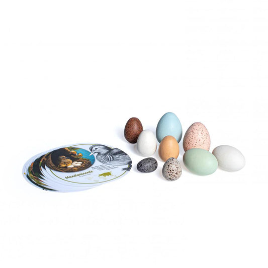 Wooden Discovery Bird Eggs