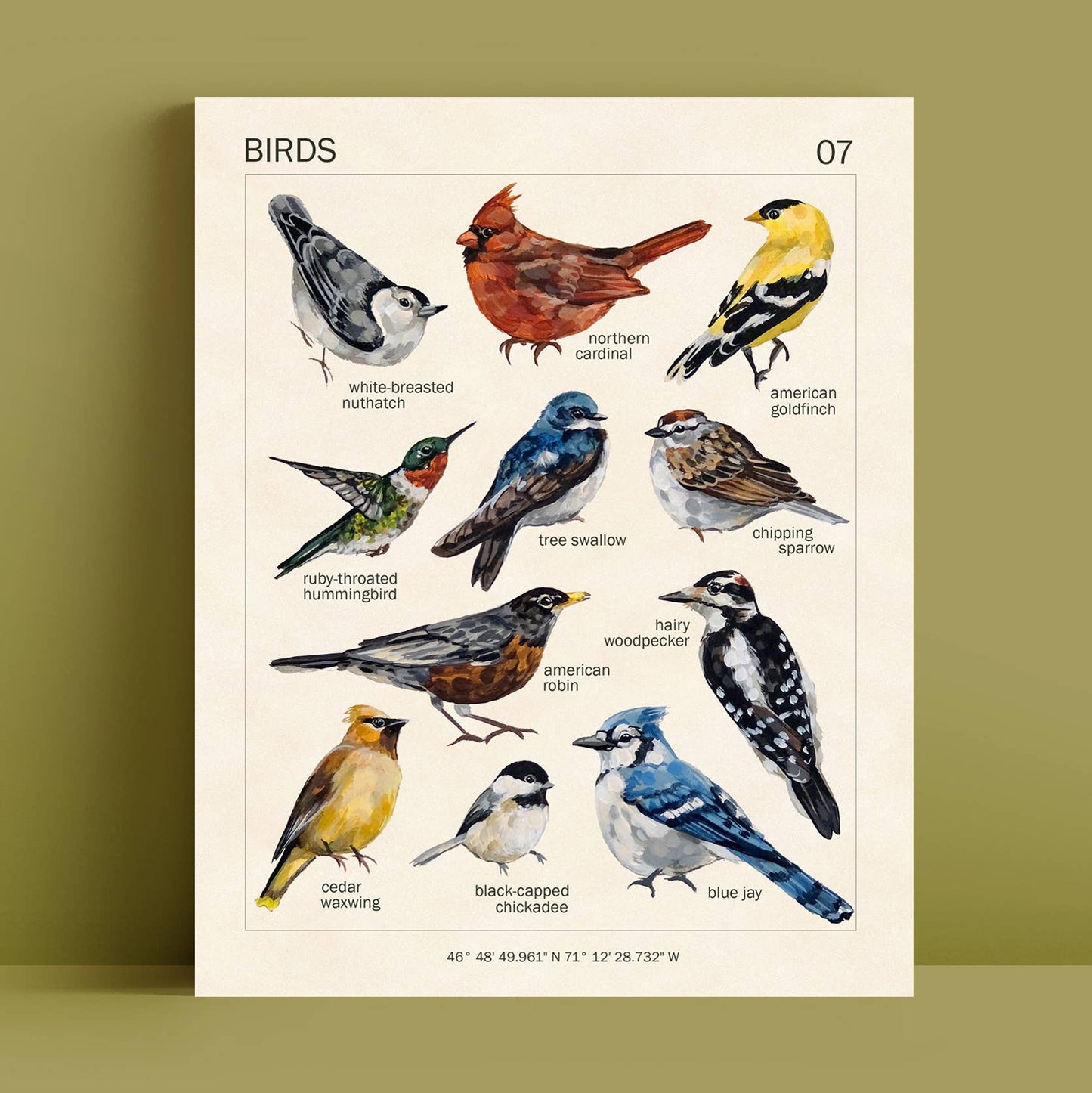 Bird Art Print | 8x10''