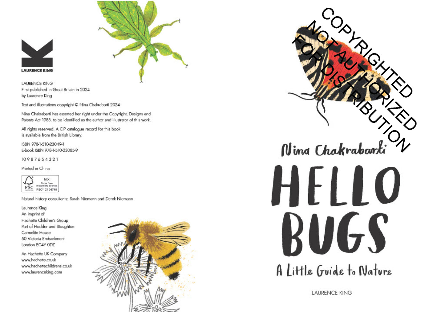 Little Guides to Nature: Hello Bugs | Hardcover