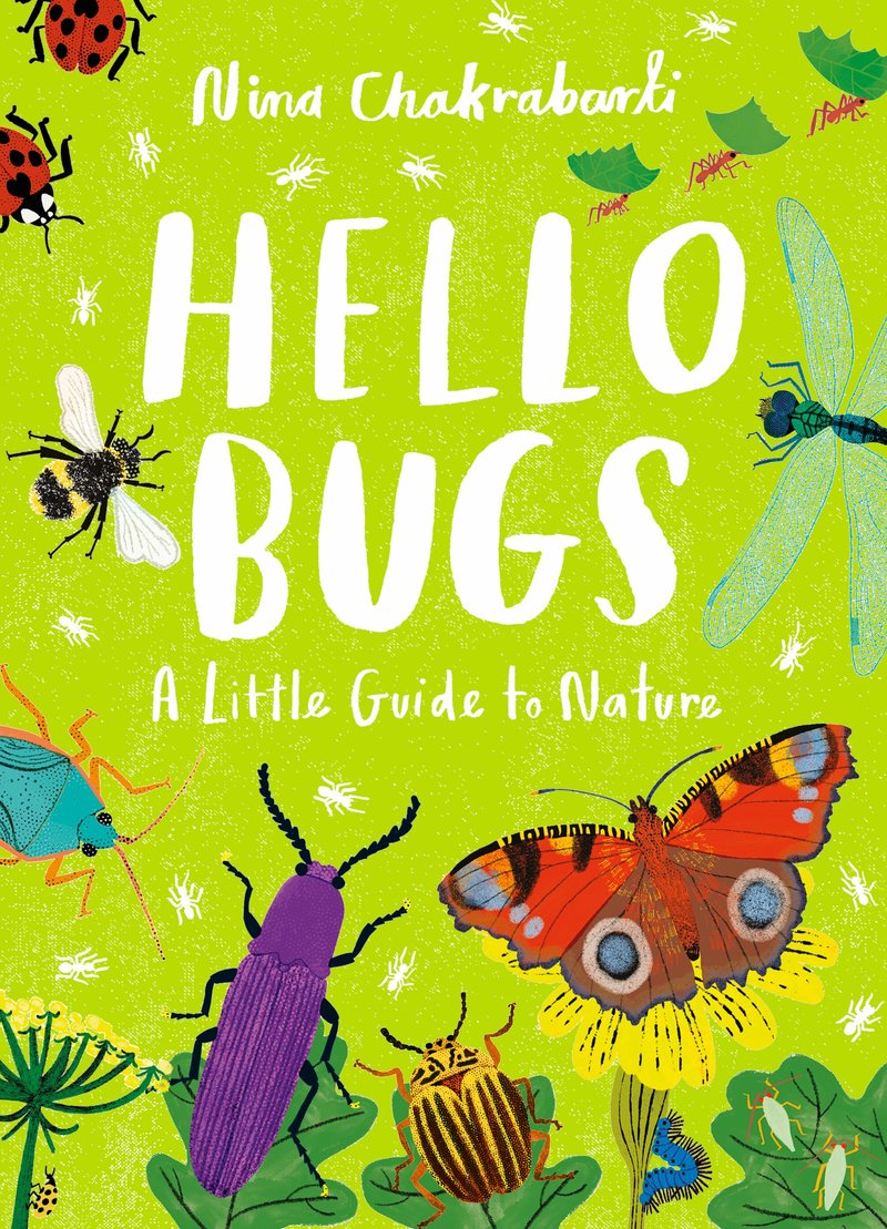 Little Guides to Nature: Hello Bugs | Hardcover