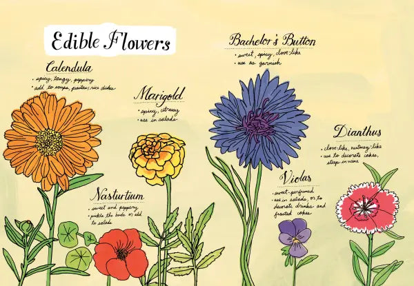 Farm Anatomy The Curious Parts and Pieces of Country Life  |  Paperback