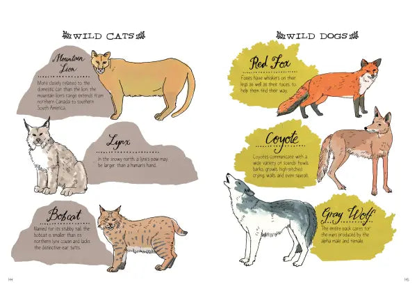 Nature Anatomy The Curious Parts and Pieces of the Natural World  |  Paperback