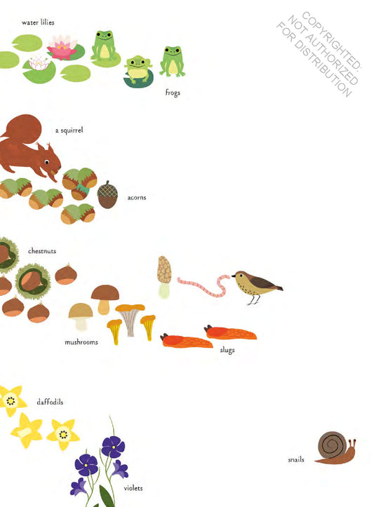 In the Forest: My Nature Sticker Activity Book (127 stickers, 29 activities, 1 quiz) | Activity Book